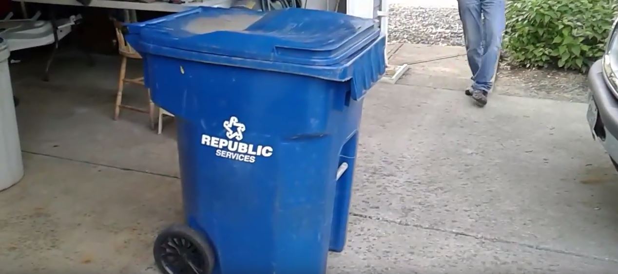 Diy Raccoon Trap Diy Raccoon Removal Methods Raccoon Trapping In