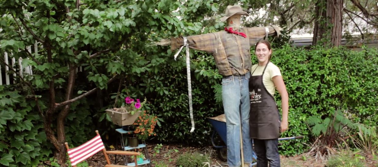 How to scare a raccoon away